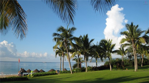 皇后饮品糖水屋