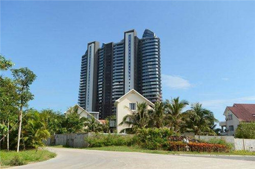 公社生产队牛乳茶