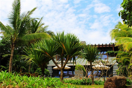 食欲侠五谷煎饼果子