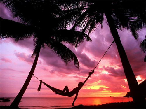 美颜素猪肚鸡汤