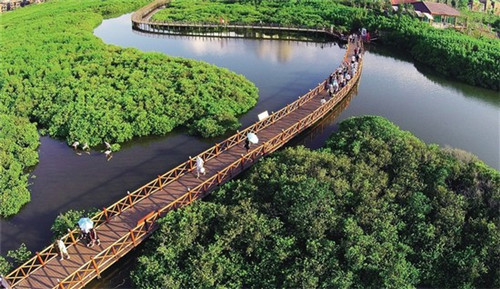 洗霸汽车美容加盟流程是什么