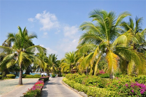 汉口北惊现奶茶天堂！速来探寻，甜点控的天堂就在这里！