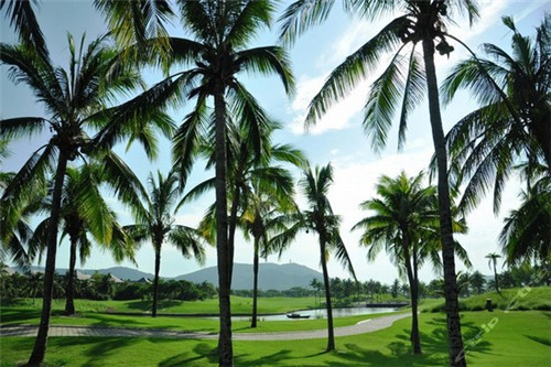 宁武县加盟柳三喜火锅杯正常几年回本