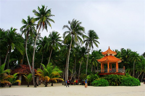 尚饮港需要多少的加盟费