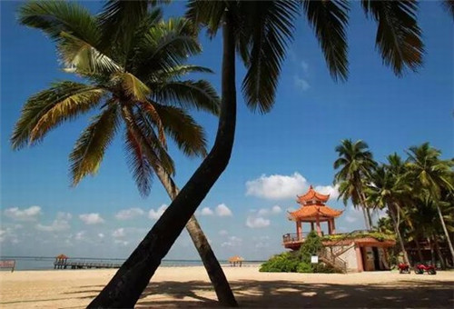 桔辰台式卤肉饭加盟是否有陷阱