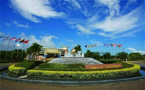 东北茄子炒豆角怎么做（东北茄子豆角的家常做法）