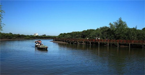 上海餐饮设计网址是什么（上海餐厅设计公司怎么样）