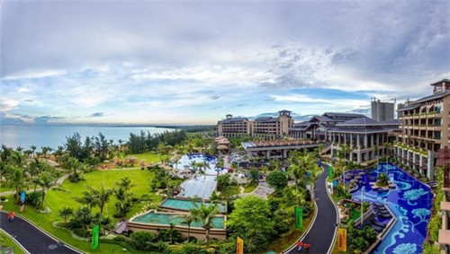 醇素正宗官方旗舰店（醇素是怎么制成的）