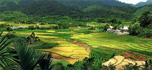 跑步毯小游戏叫什么（跑步游戏垫）